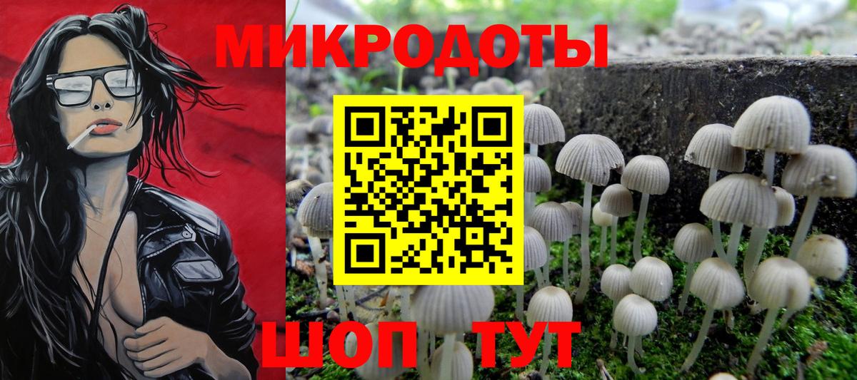 Псилоцибиновые грибы мицелий Дмитров