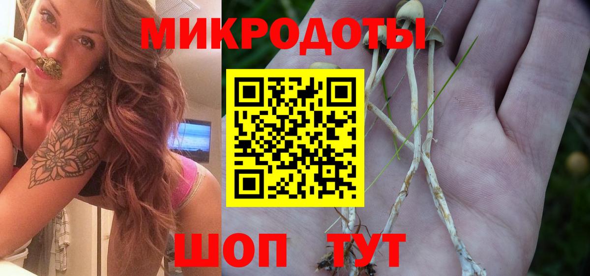 Псилоцибиновые грибы Cubensis  Вход с VPN  Дмитров  Псилоцибиновые грибы GOLDEN TEACHER 
